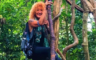 curly nomad asia indonesia sumatra curly nomad climbing the trees photo