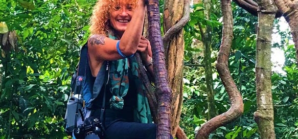 curly nomad asia indonesia sumatra curly nomad climbing the trees photo