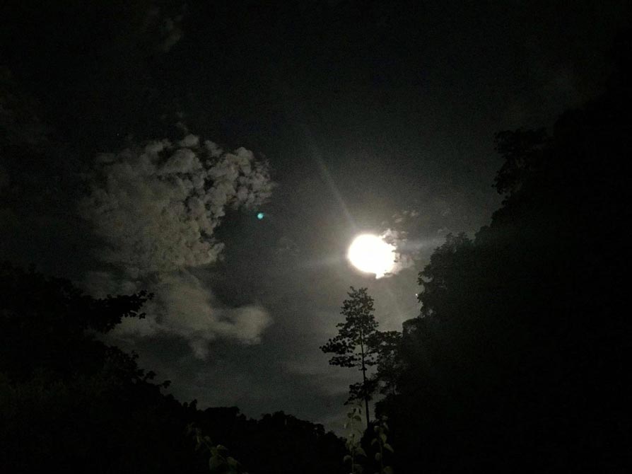curly nomad asia indonesia sumatra full moon in the jungle photo